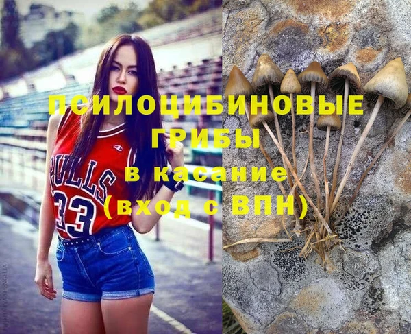 каннабис Алексеевка