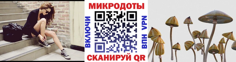 Псилоцибиновые грибы мицелий  Кулебаки 